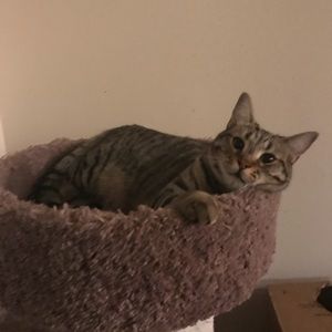 Meet your Posher, Austin